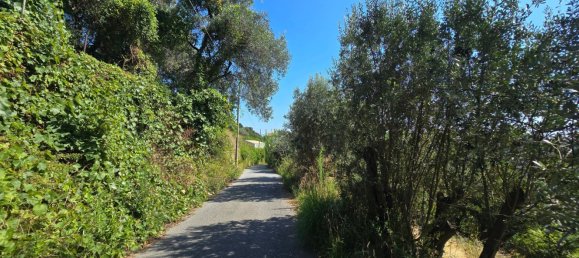 7-Zimmer Haus in Genoa, Italy, Nr. 271853 3