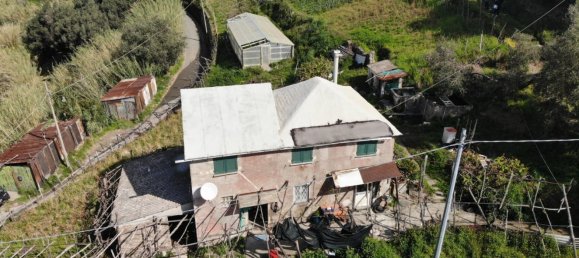 7-Zimmer Haus in Genoa, Italy, Nr. 271853 13