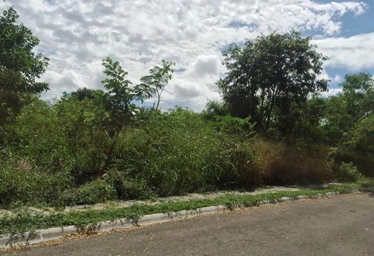 Grundstück in Merida, Mexico, Nr. 126037