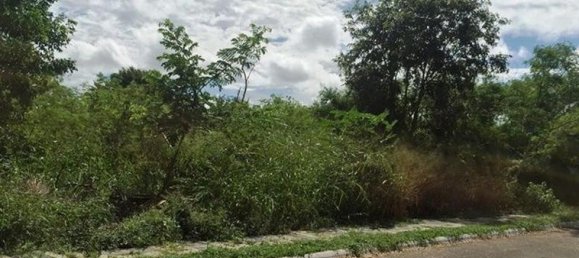 Grundstück in Merida, Mexico, Nr. 126037 2