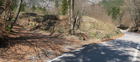 Terreno en Ledro, Italy 13495 m² No. 49578 6