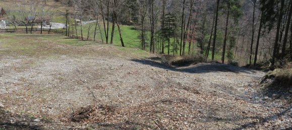 Terreno en Ledro, Italy 13495 m² No. 49578 15