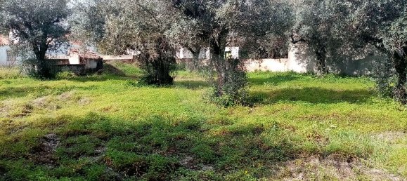 3 bedrooms House in Abrantes, Portugal No. 19742 29