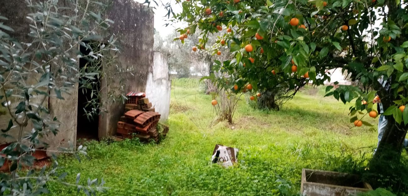 3 bedrooms House in Abrantes, Portugal No. 19742