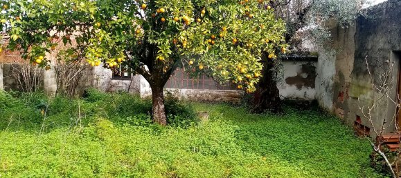 3 bedrooms House in Abrantes, Portugal No. 19742 23