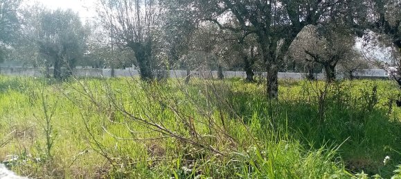 3 bedrooms House in Abrantes, Portugal No. 19742 26