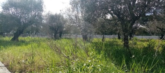 3 bedrooms House in Abrantes, Portugal No. 19742 28