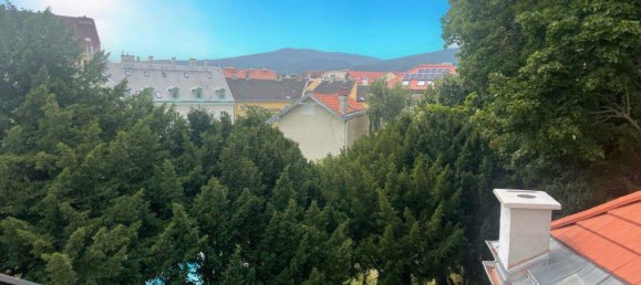 Пентхаус с 6 комнатами в Баден, Австрия № 40654 5