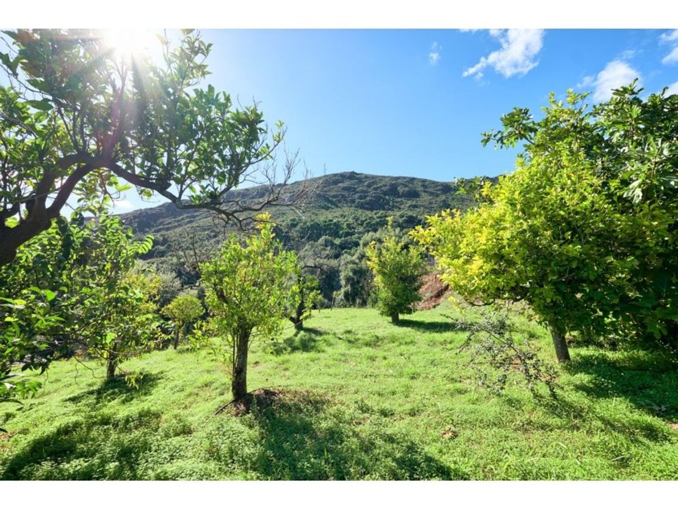 2 bedrooms House in Estepona, Spain No. 99053