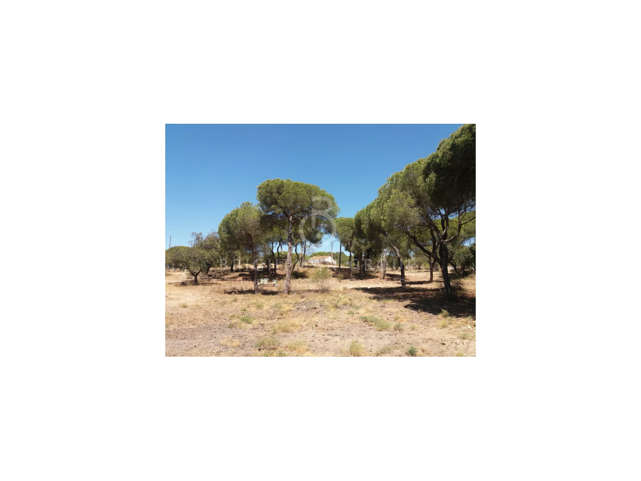  Land in Almancil, Portugal No. 145350