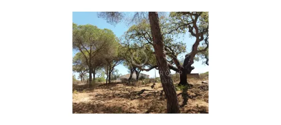 Land in Almancil, Portugal No. 145350 8