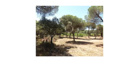 Land in Almancil, Portugal No. 145350 17