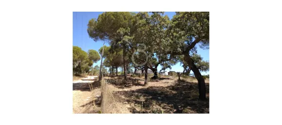 Land in Almancil, Portugal No. 145350 9