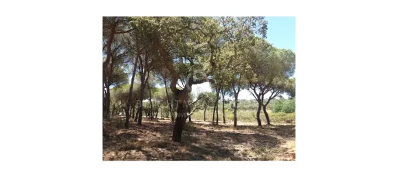 Land in Almancil, Portugal No. 145350 7