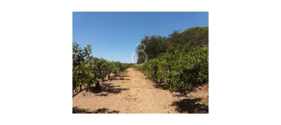 Land in Almancil, Portugal No. 145350 2