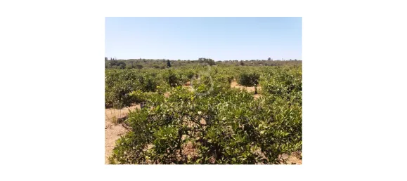 Land in Almancil, Portugal No. 145350 3