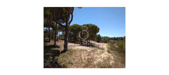 Land in Almancil, Portugal No. 145350 11