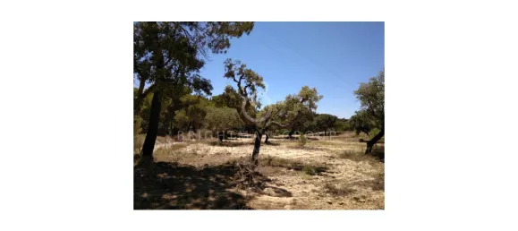 Land in Almancil, Portugal No. 145350 14