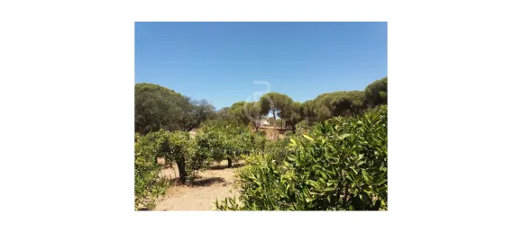 Land in Almancil, Portugal No. 145350 4