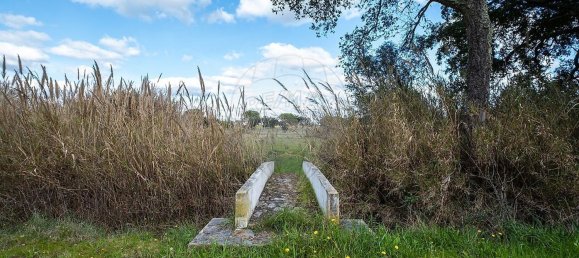 3 غرف نوم منزل في Pavia, Portugal رقم 68170 37