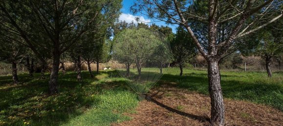 3 غرف نوم منزل في Pavia, Portugal رقم 68170 42