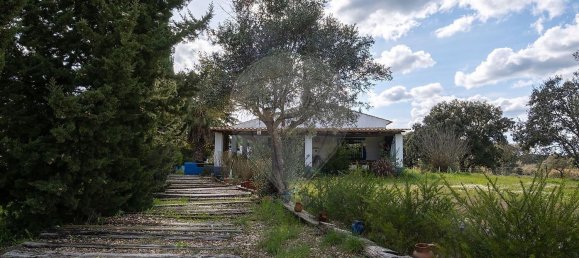 3 غرف نوم منزل في Pavia, Portugal رقم 68170 48