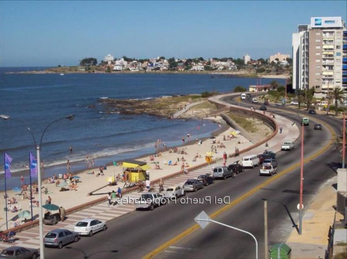 5 Schlafzimmer Haus in Montevideo, Uruguay, Nr. 10747