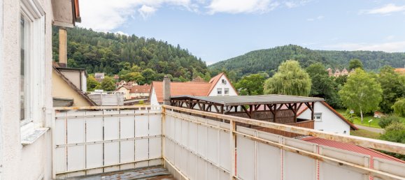 10-Zimmer Gebäude in Calw, Germany, Nr. 336276 29