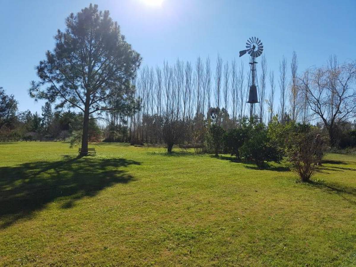 4 bedrooms House in Brandsen, Argentina No. 20812