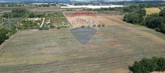 30000m² Land in Rosignano Marittimo, Italy No. 297878 2