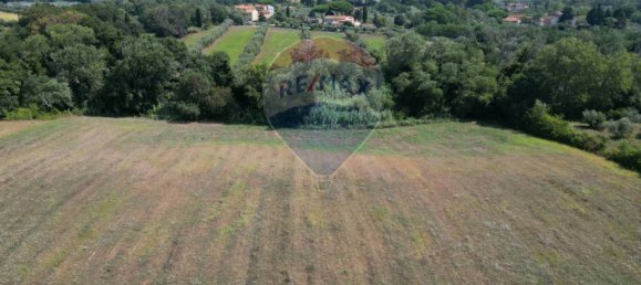 30000m² Land in Rosignano Marittimo, Italy No. 297878 9