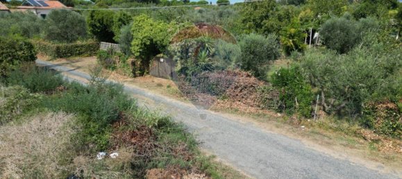 30000m² Land in Rosignano Marittimo, Italy No. 297878 3