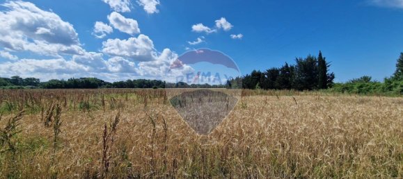 30000m² Land in Rosignano Marittimo, Italy No. 297878 5