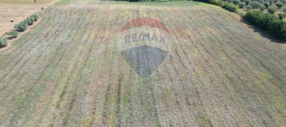 30000m² Land in Rosignano Marittimo, Italy No. 297878 7