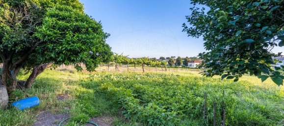 Дом с 6 спальнями в Requiao, Португалия № 176178 17