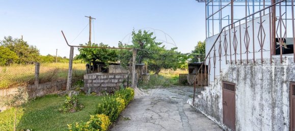 Дом с 6 спальнями в Requiao, Португалия № 176178 15