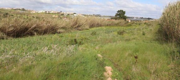 Земельный участок 27720м² в Торриш Ведраш, Португалия № 173146 15