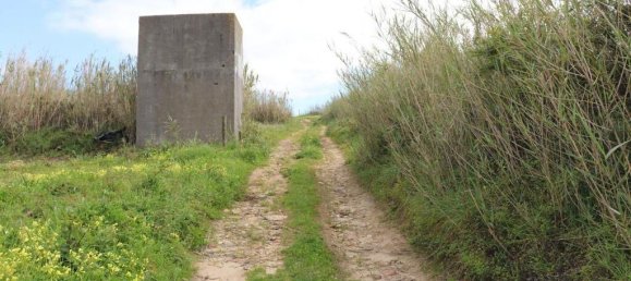 Земельный участок 27720м² в Торриш Ведраш, Португалия № 173146 35