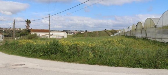 Земельный участок 27720м² в Торриш Ведраш, Португалия № 173146 31