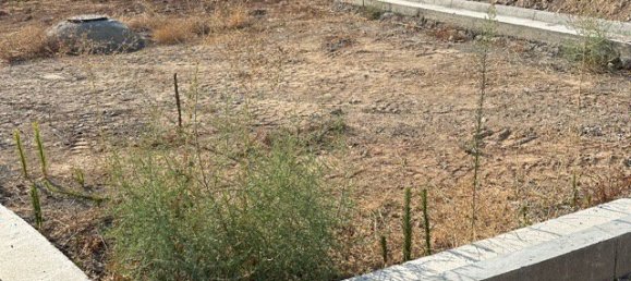 658m² Land for sale in Agios Nikolaos, Paphos, Cyprus № 26421 13