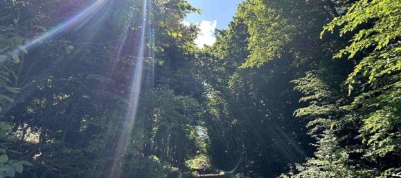 Grundstück in Lannach, Austria, Nr. 172031 17