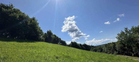 Grundstück in Lannach, Austria, Nr. 172031 11
