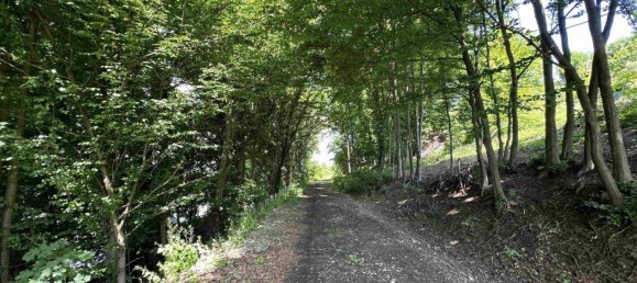 Grundstück in Lannach, Austria, Nr. 172031 15