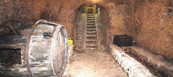 Gewerbliche Immobilie in Caprarola, Italy 104m², Nr. 278409 13