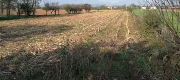 Terrain à Trevignano, Italy 15762m² No. 281166 6