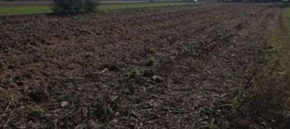 Terrain à Trevignano, Italy 15762m² No. 281166 3