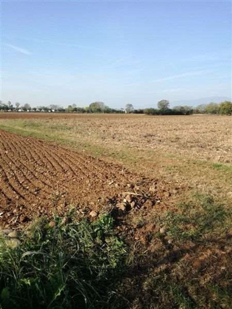 Terrain à Trevignano, Italy 15762m² No. 281166
