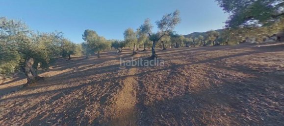 54m² Land in Cordoba, Spain No. 163673 11