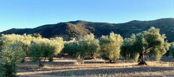 54m² Land in Cordoba, Spain No. 163673 12