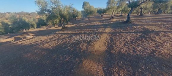 54m² Land in Cordoba, Spain No. 163673 5